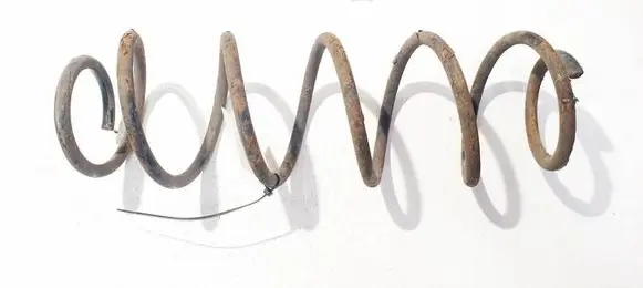 Renault Laguna III Rear coil spring