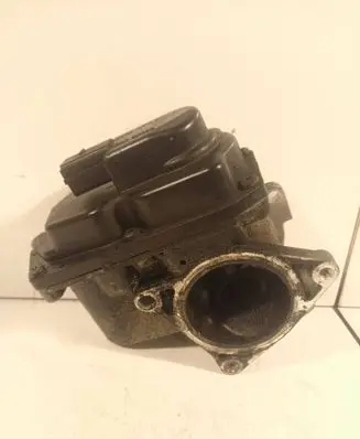 Volkswagen Jetta V EGR valve 03L131501G 1600384