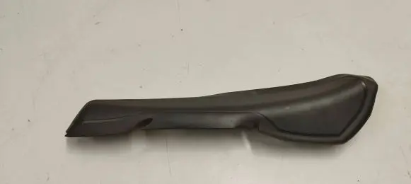 Rear/tail light trim molding