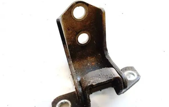 Mazda CX-7 Rear door lower hinge