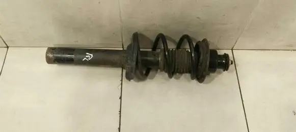 Porsche Cayman 987 Rear shock absorber with coil spring 98733305109