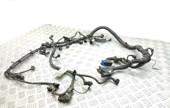 Engine installation wiring loom