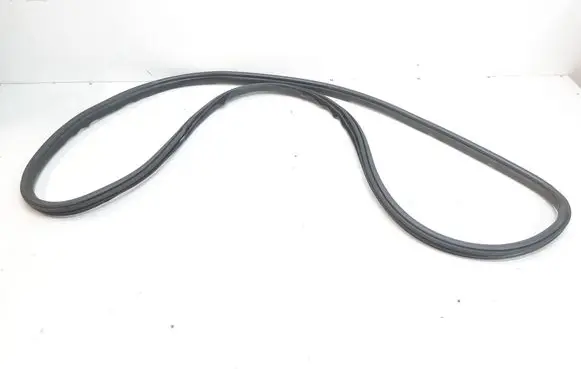 BMW X3 F25 Front door rubber seal 7205697
