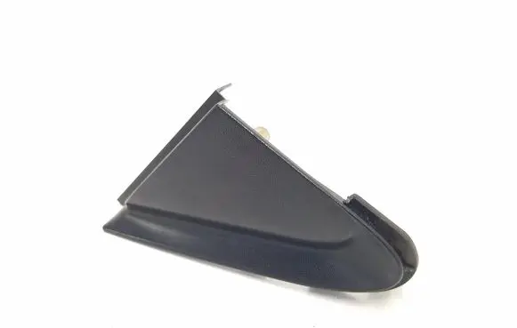 Other front door trim element