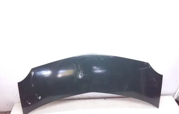 Renault Modus Engine bonnet/hood