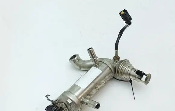 EGR valve