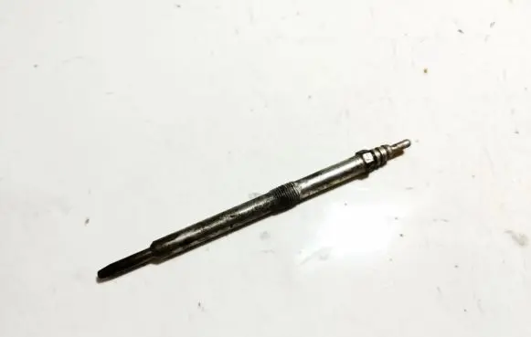 Renault Vel Satis Glow plug 0250202128