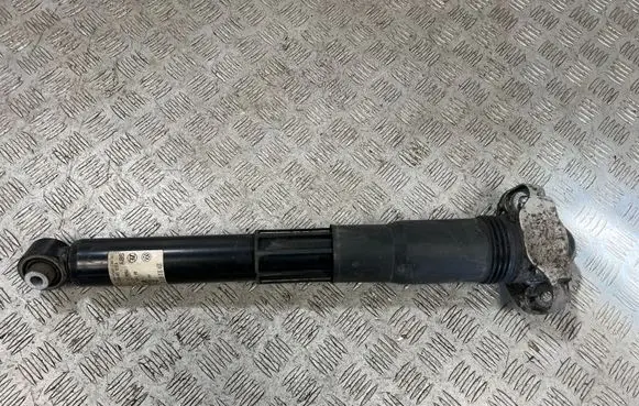 Volkswagen ID.4 Rear shock absorber/damper 1EA512013BD