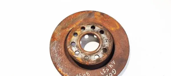 Volkswagen Golf V Front brake disc ventiliuojamas