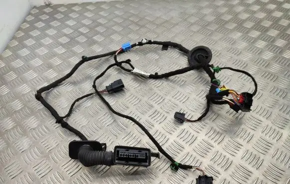 Front door wiring loom