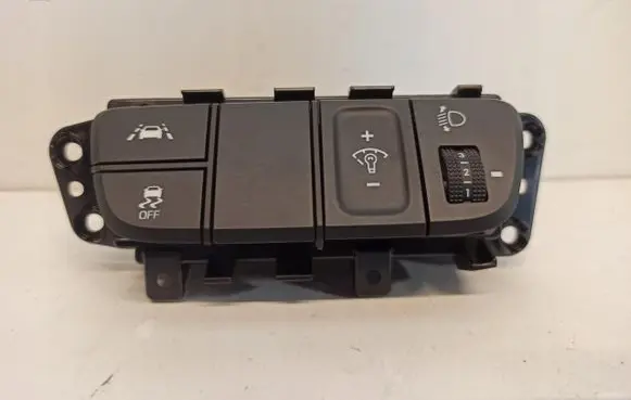 Fog light switch