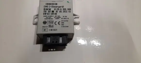 BMW 3 E46 Immobilizer control unit/module 6905666E46