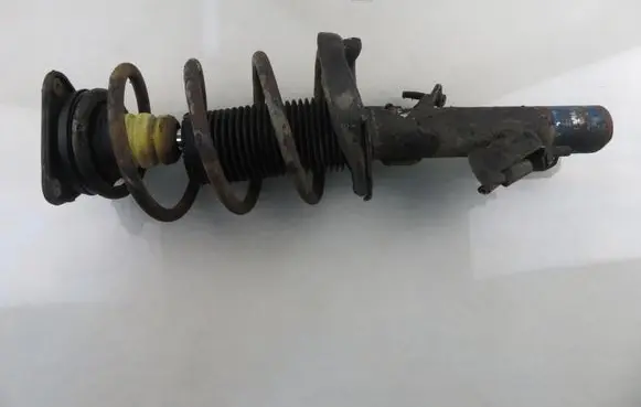 Ford Focus C-MAX Front shock absorber with coil spring