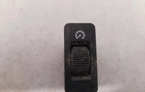 Panel lighting control switch