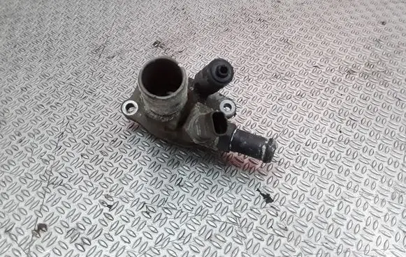 Thermostat/thermostat housing