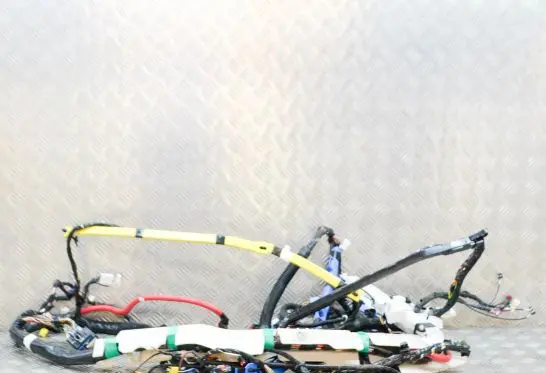 Tesla Model 3 Other wiring loom 306795502C