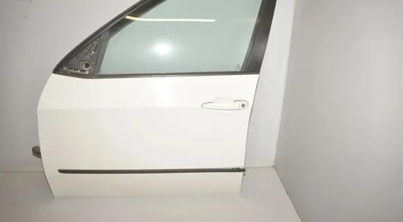 BMW X5 E70 Front door