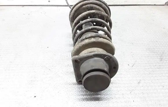 Fiat Doblo Front shock absorber with coil spring
