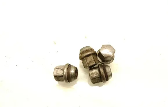 Dodge Charger Nuts/bolts 