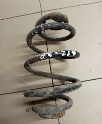 Volkswagen PASSAT B5.5 Rear coil spring 