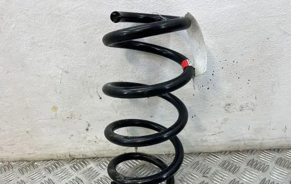 Rear coil spring