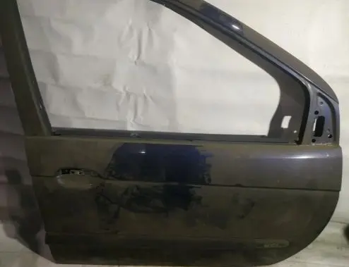 Renault Scenic I Front door melynos