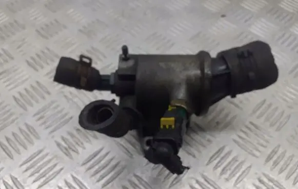 Thermostat/thermostat housing