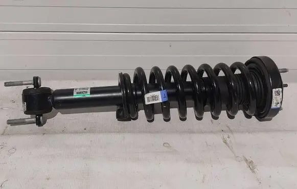 Ford F150 Front shock absorber with coil spring ML3418045 ML3418045EC