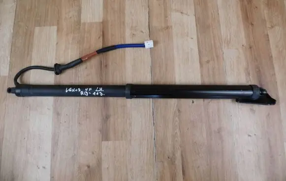 Tailgate/trunk strut/damper