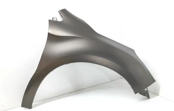 Citroen DS4 Fender