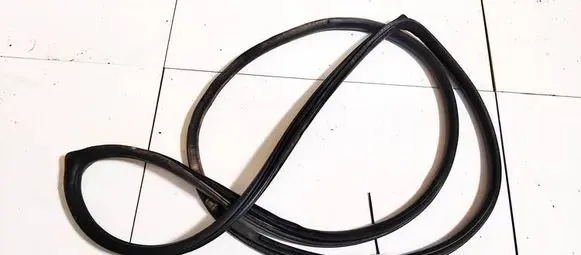 Nissan Tiida C11 Rubber seal rear door 