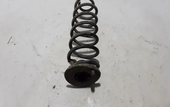 Skoda Karoq Rear coil spring 5Q0511121BG