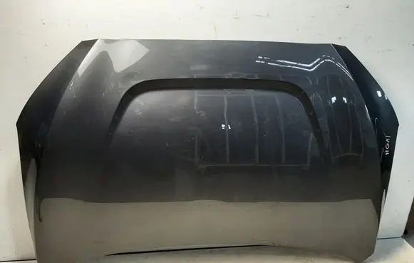 Engine bonnet/hood