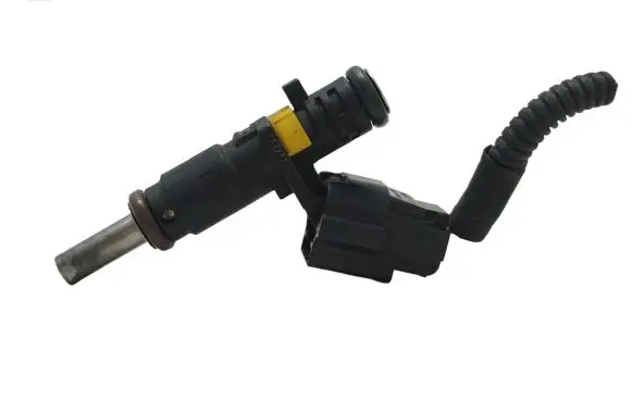 Citroen C3 Fuel injector 7528176 B160B06179