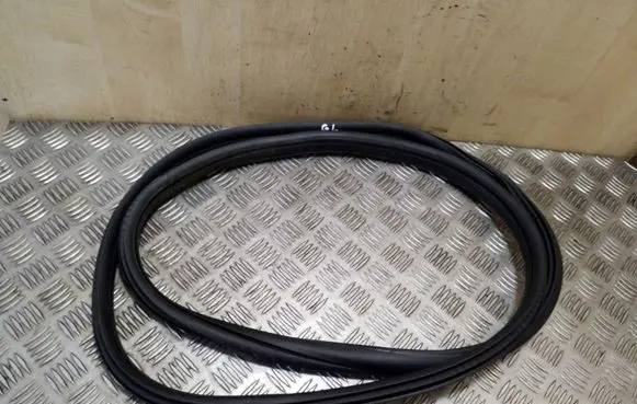 Citroen DS4 Rear door rubber seal (on body) 