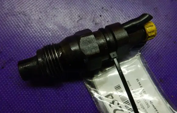 Fiat Ducato Fuel injector 17S42