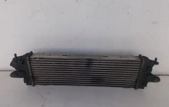 Renault Trafic II (X83) Intercooler radiator OEAINTERCOOLER
