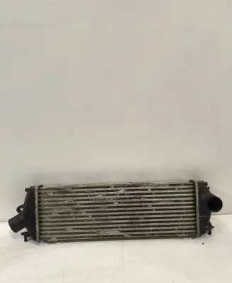 Renault Trafic II (X83) Intercooler radiator 8200411160C 93864162
