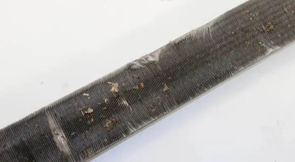 BMW X5M E70 Power steering radiator 7108003 M7108003
