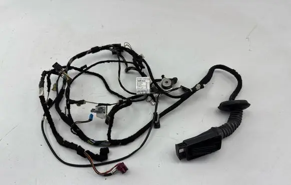 BMW 1 F20 F21 Front door wiring loom 19344411