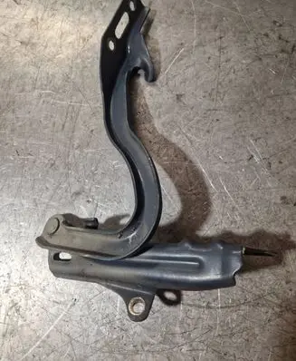 Suzuki SX4 Tailgate/trunk/boot hinge