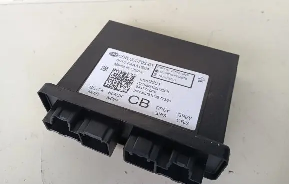 Opel Insignia A Keyless (KESSY) go control unit/module 13580551 5DK00970301