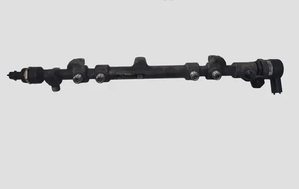 Hyundai Santa Fe Fuel injection system set 0445010511 331002F000 0445116018