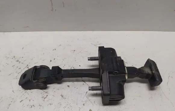 Dacia Lodgy Front door check strap stopper