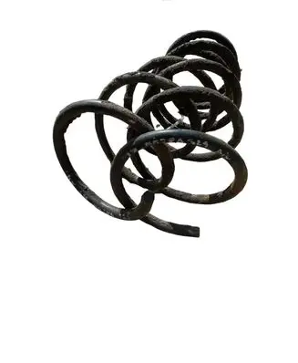 Rear coil spring