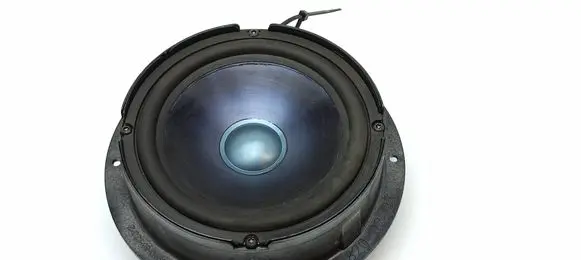 Mercedes-Benz R W251 Front door speaker A2518200202