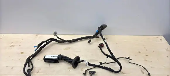 BMW 2 F44 Other wiring loom 8724990
