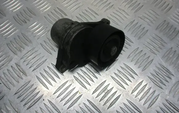 Renault Trafic II (X83) Timing belt tensioner 