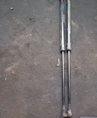 Tailgate strut