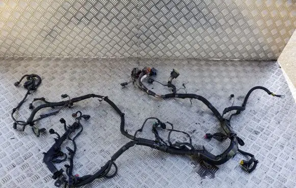 Peugeot 5008 Engine installation wiring loom